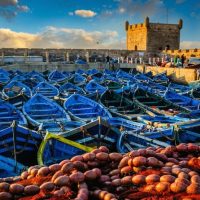 Photography Tours