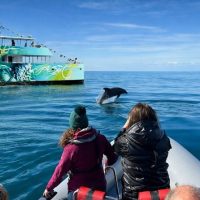 Holiday & Seasonal Tours