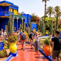 Cultural Tours