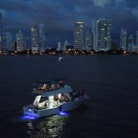 Food, Wine & Nightlife