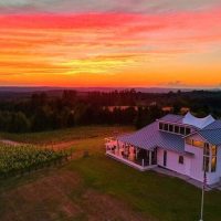 Food, Wine & Nightlife