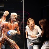 Kid Friendly Tours & Activities