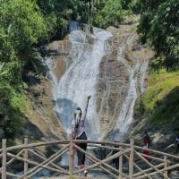 Bus & Minivan Tours