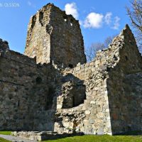 Full-day Tours
