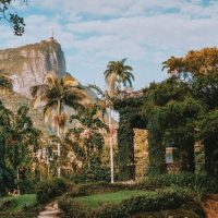 Eco Tours
