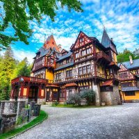 Walking Tours