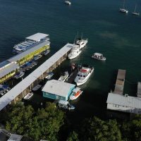 Boat Tours
