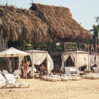 Bus & Minivan Tours