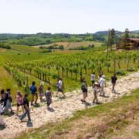 Wine Tasting & Winery Tours