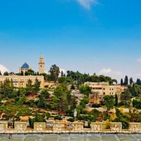 Private & Custom Tours