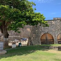 Private & Custom Tours