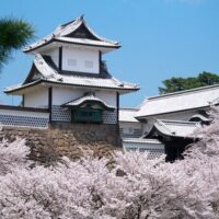 Cultural & Theme Tours