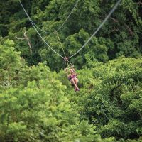 Ziplines