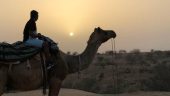 Amazing safari trip by ritesh and team