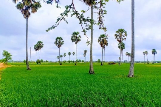 Good Friday in Phnom Penh
