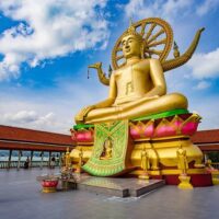 Bus & Minivan Tours