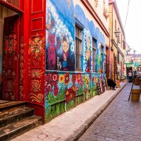 Cultural Tours