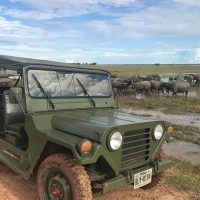 Luxury Tours