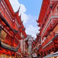 Private & Custom Tours