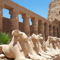 Private Sightseeing Tours