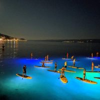 Stand Up Paddleboarding