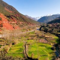 Cultural & Theme Tours