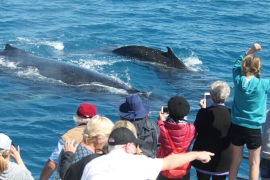 Good Friday in Hervey Bay