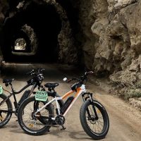 Walking & Biking Tours