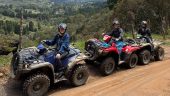 good atv experience in medellin