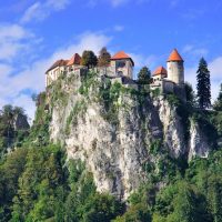 Bus & Minivan Tours