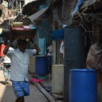 Cultural & Theme Tours