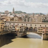 Half-day Tours