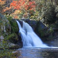 Audio Guided Tours