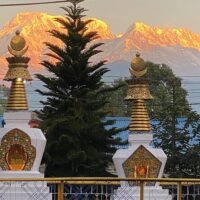 Cultural & Theme Tours