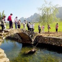 Day Trips & Excursions