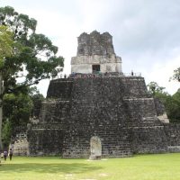 Cultural Tours