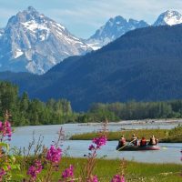 Tours & Sightseeing