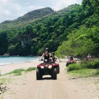 Half-day Tours