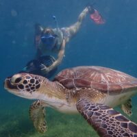 Shore Excursions