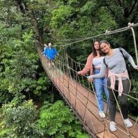 Luxury Tours