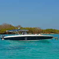 Private Sightseeing Tours