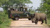 Wonderful tour