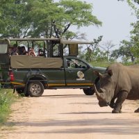 Day Trips & Excursions