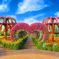 Plantation Tours