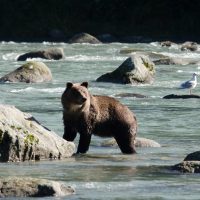 Nature & Wildlife