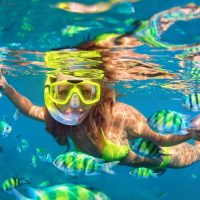 Cruises, Sailing & Water Tours