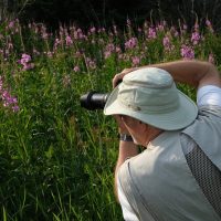 Photography Tours