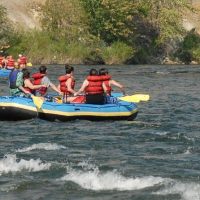 Shore Excursions