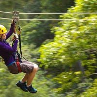 Ziplines
