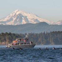 Half-day Tours